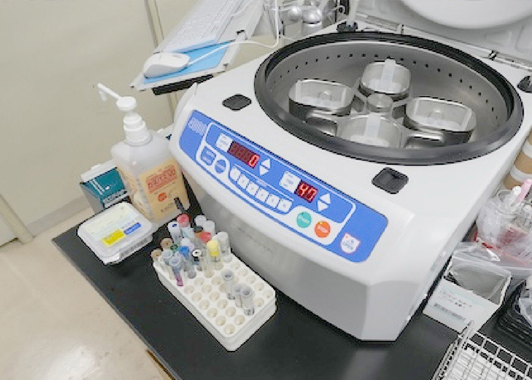 結核菌 Mycobacterium tuberculosis